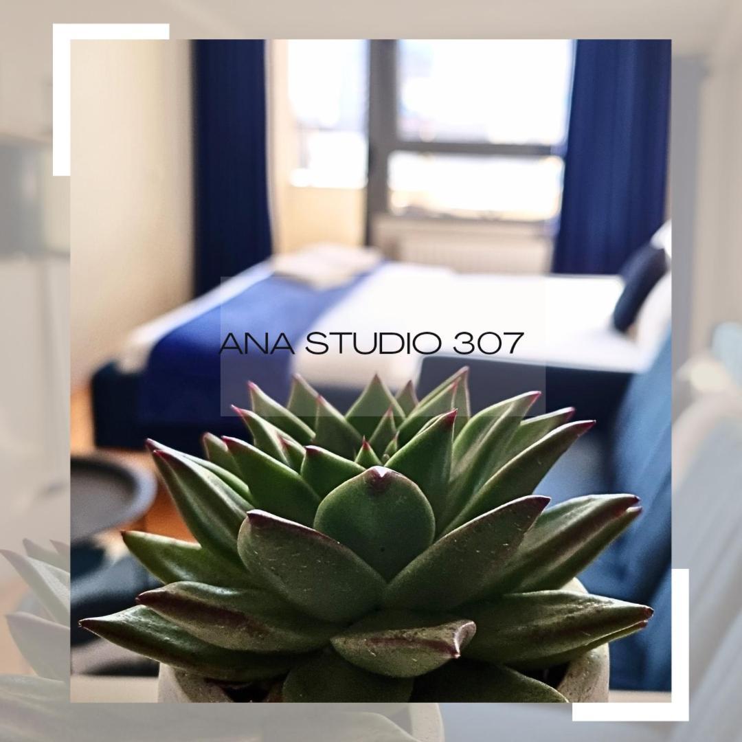 דירות פרישטינה Ana Studio 307 מראה חיצוני תמונה